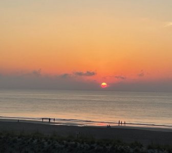 IMG_1328.jpeg