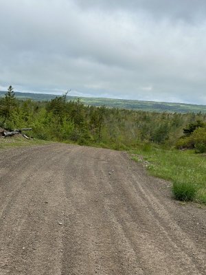 IMG_4716.jpeg