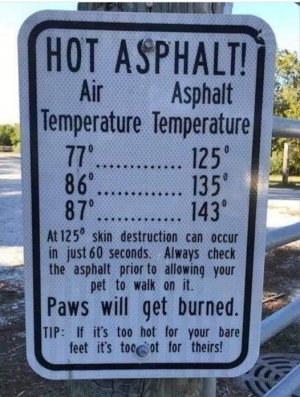good info.jpg