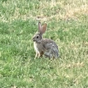IMG_2871.jpeg