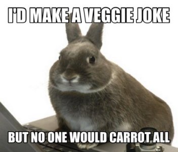 veggiejoke.jpg
