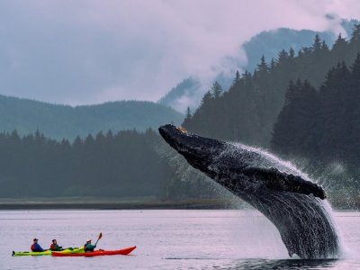 061024kayak.jpg