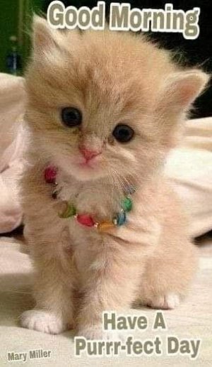 820ff1fe27b06941341eb073e767d808[1].jpg