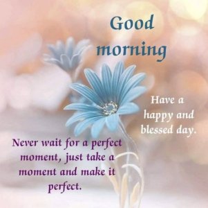 8ee63eb1c2f7c7f3058a6d22d719803f.jpg
