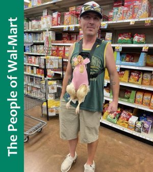 Wal-Mart.jpg