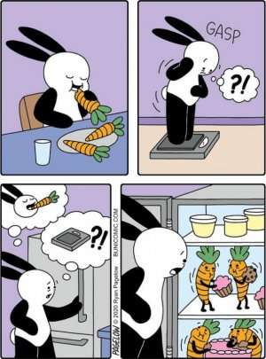 FB_IMG_1668138627974.jpg