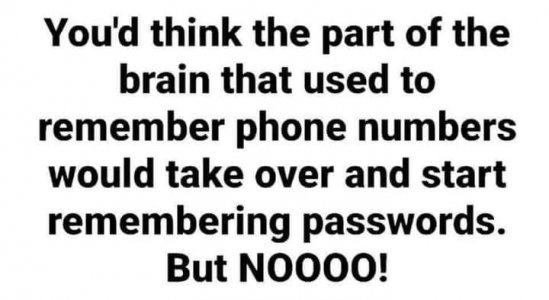 448357364_10159619943337382_2620804326733192515_n.jpg