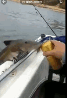 Beer Fish.gif
