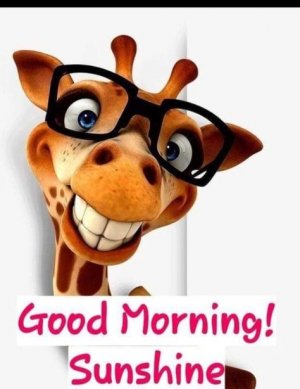 36b1bb0749ec41b521b89a35e8b2f7bb[1].jpg