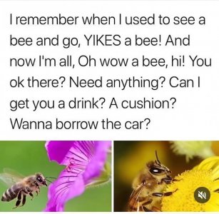 FB_IMG_1718168512629.jpg