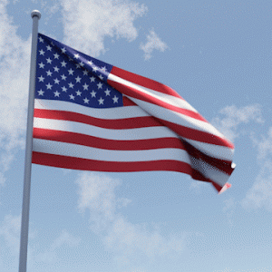 Flag.gif