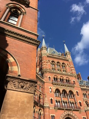 IMG_1201.jpeg