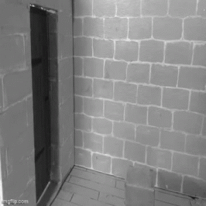 dvd bnw.gif