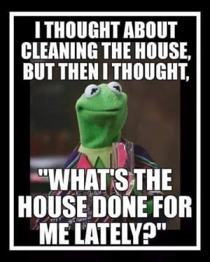 4E408357-49AE-455D-9F9E-62F1C9E4AAA2.jpeg