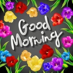 6965e92cc0dd0841640ef88cfe4fe604[1].jpg