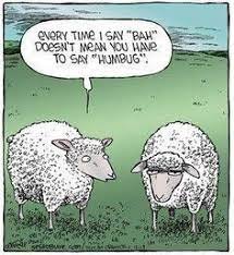 baaahhh.jpg