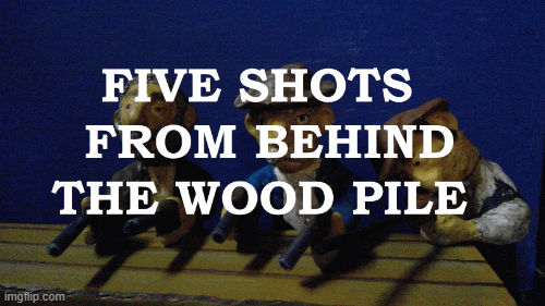 five shots.gif