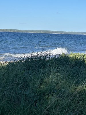 IMG_4808.jpeg