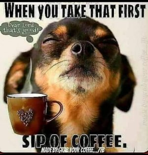 first sip.jpg