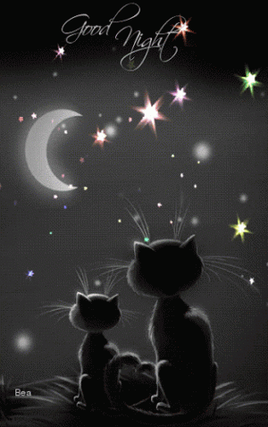 goodnight.cats.3.gif