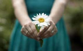 birthday morn daisy.jpg