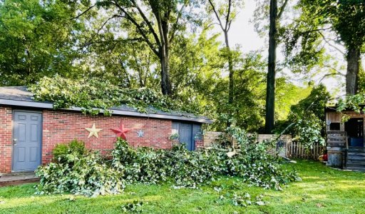 IMG_1104.jpeg IMG_1104.jpeg