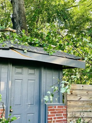 IMG_1105.jpeg IMG_1105.jpeg