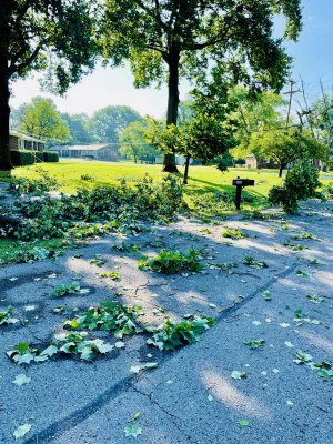 IMG_1133.jpeg IMG_1133.jpeg