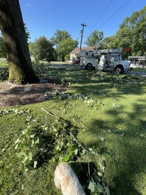 IMG_1134.jpeg IMG_1134.jpeg