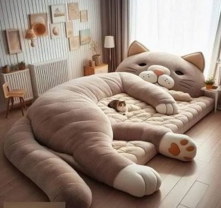 bestcatbedever.jpg