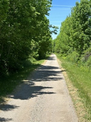 IMG_4821.jpeg