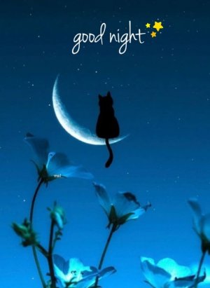 6a9a271c434af02b6e3d2b07dbe0098d[1].jpg