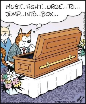 Box.jpg