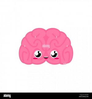 brain-cute-funny-internal-organ-cartoon-style-human-anatomy-kids-character-childrens-style-RNC...jpg