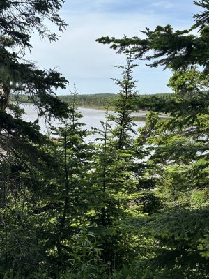 IMG_4829.jpeg