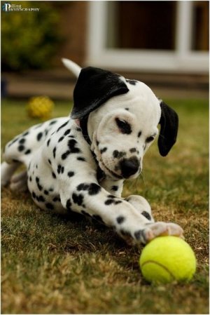 8d283506d37862ffc18802f5d81e3adf[1].jpg