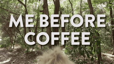 coffee gorilla.gif