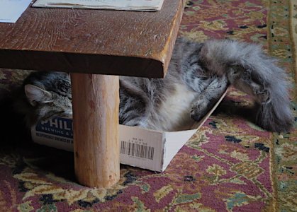 under the table.JPG
