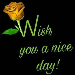 1354346ce80d5dd6fecbc437d3249792[1].jpg