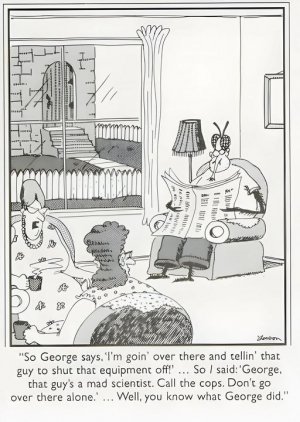 neighbor mad.jpg