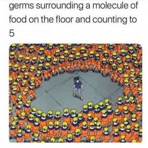 448219701_479573361402771_1522847211851523169_n.jpg