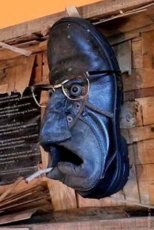 Shoe on the wall.jpg