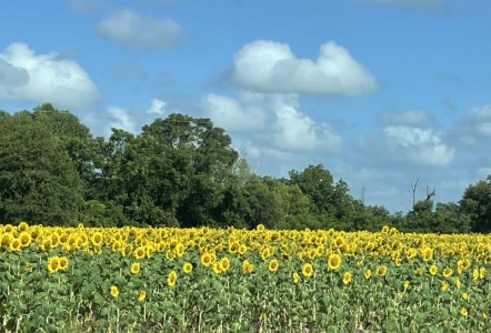 IMG_1344.jpeg