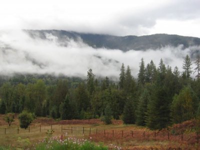 Valley Morning 2.JPG Valley Morning 2.JPG