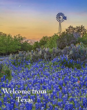 welcome-tx-bluebonnets.jpg welcome-tx-bluebonnets.jpg