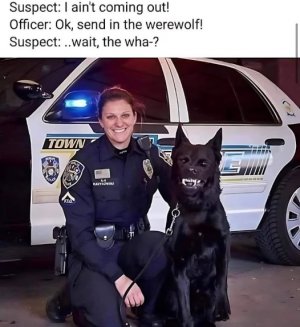FB_IMG_1718848529785.jpg