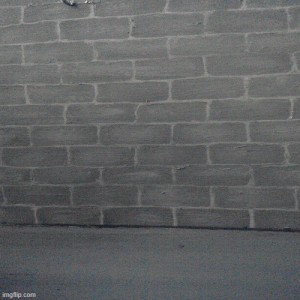 set-.gif