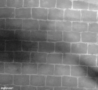streets bnw.gif