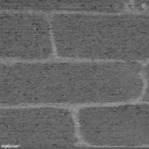 whole lotta bnw.gif