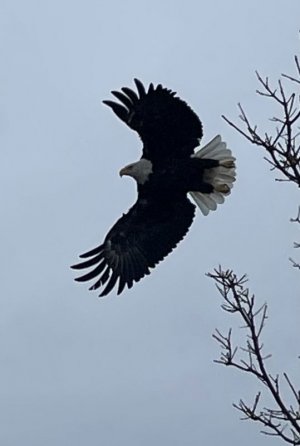 IMG_5049.jpeg IMG_5049.jpeg